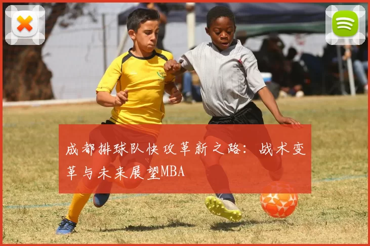 成都排球队快攻革新之路：战术变革与未来展望MBA