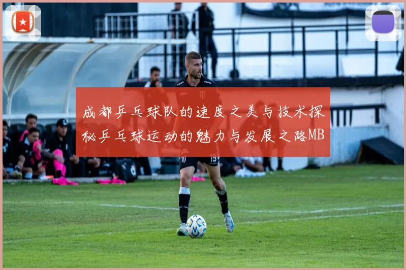 成都乒乓球队的速度之美与技术探秘乒乓球运动的魅力与发展之路MBA