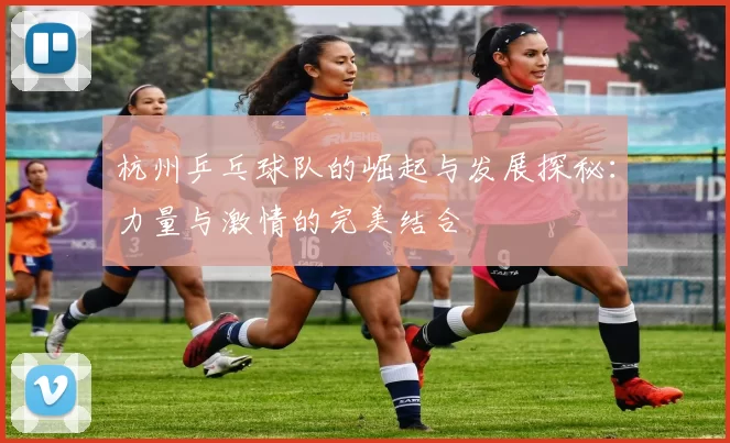 杭州乒乓球队的崛起与发展探秘：力量与激情的完美结合